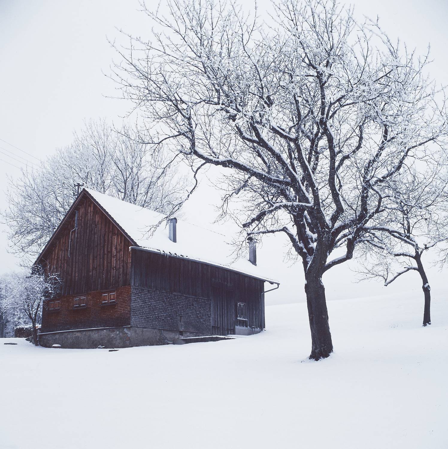 Photo #6962453