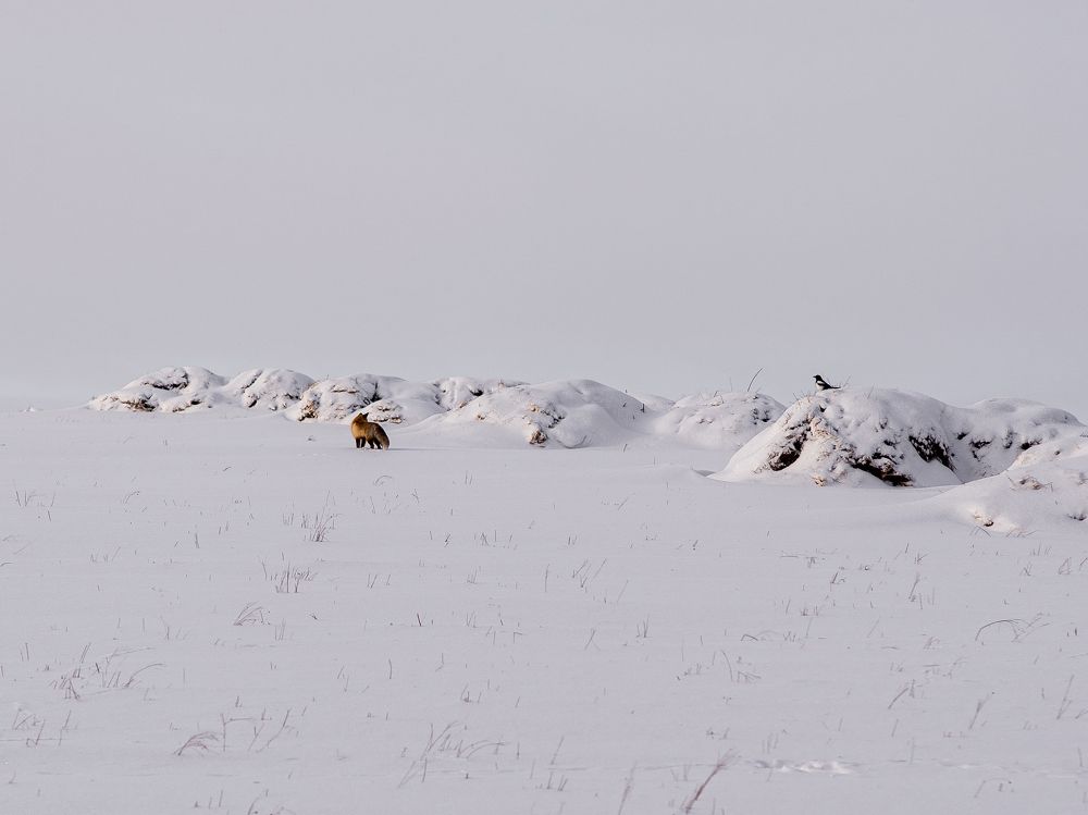 Photograph by Кирилл Воронин