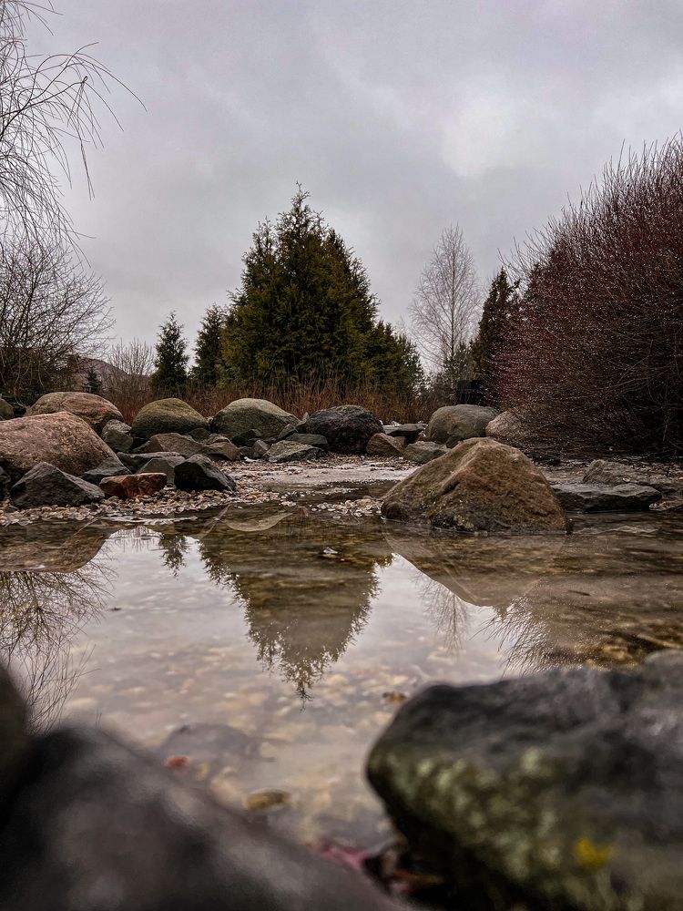 Photograph by Вера Рудик