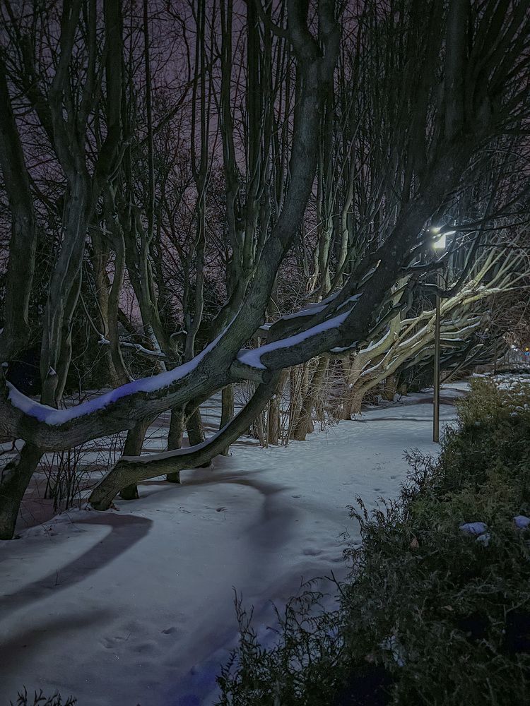 Photograph by Вера Рудик