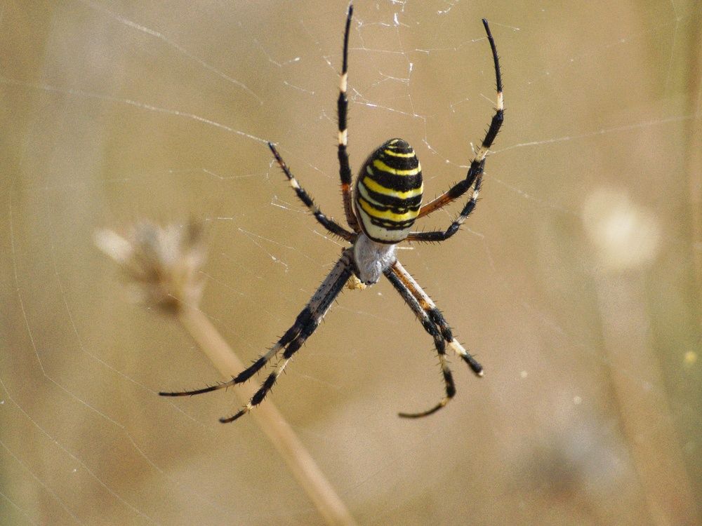 Фотография автора Jorge Herraiz