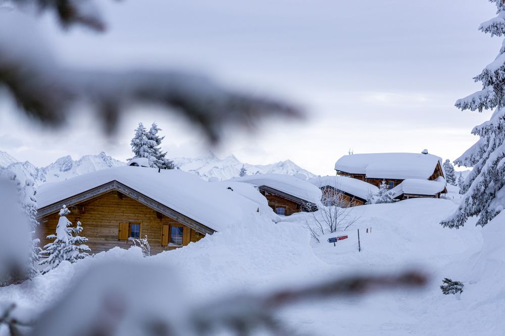 Photograph by James Graf