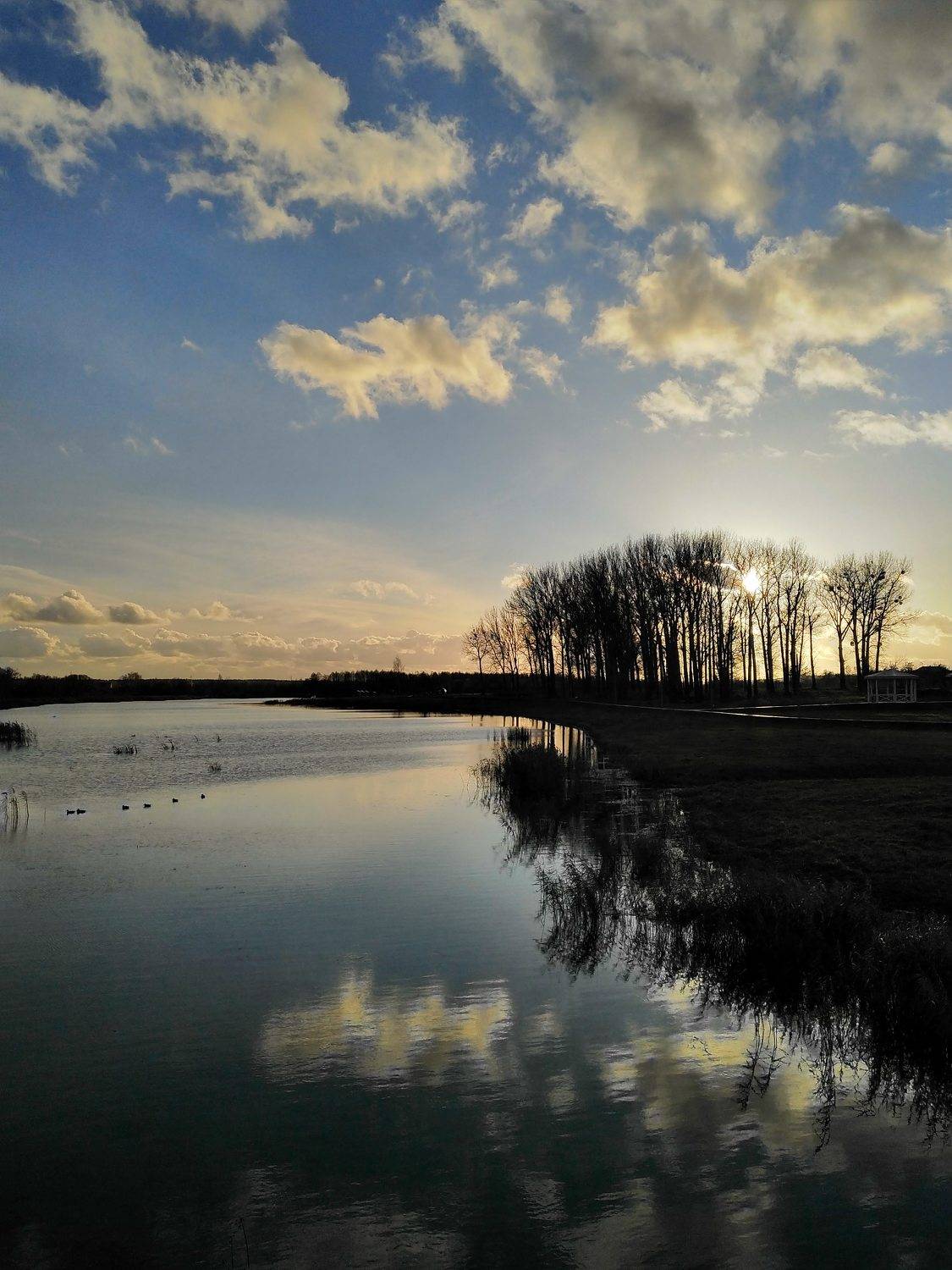 Photo #6962559