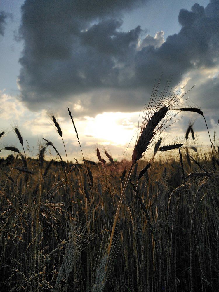 Photograph by Ника