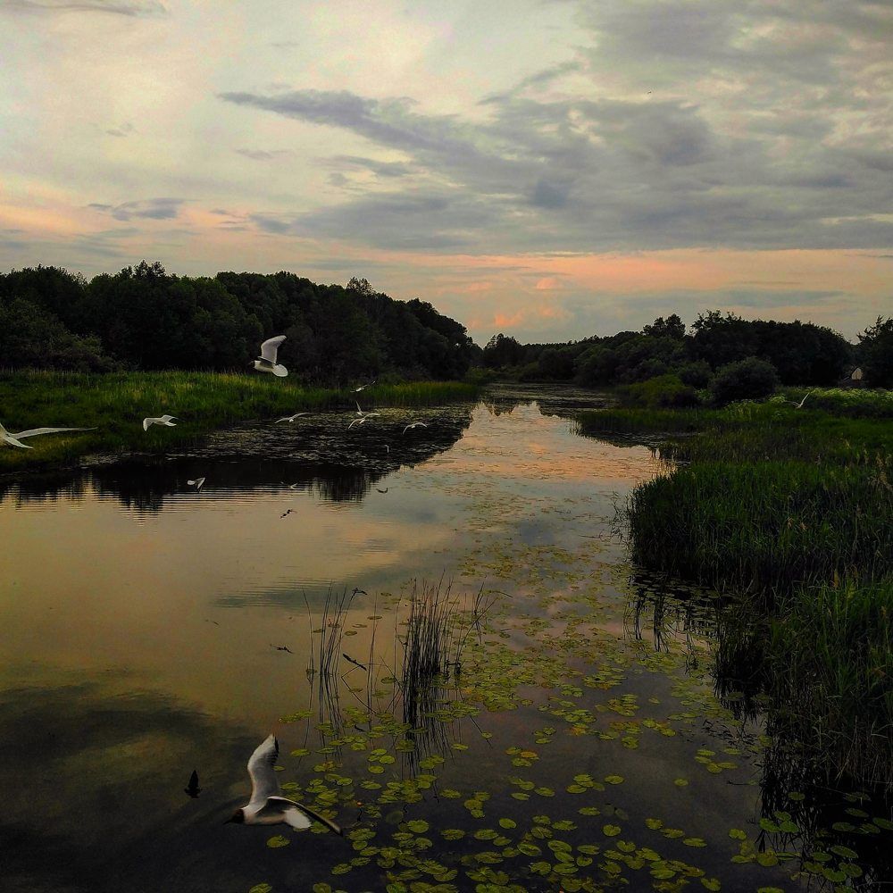 Photograph by Ника