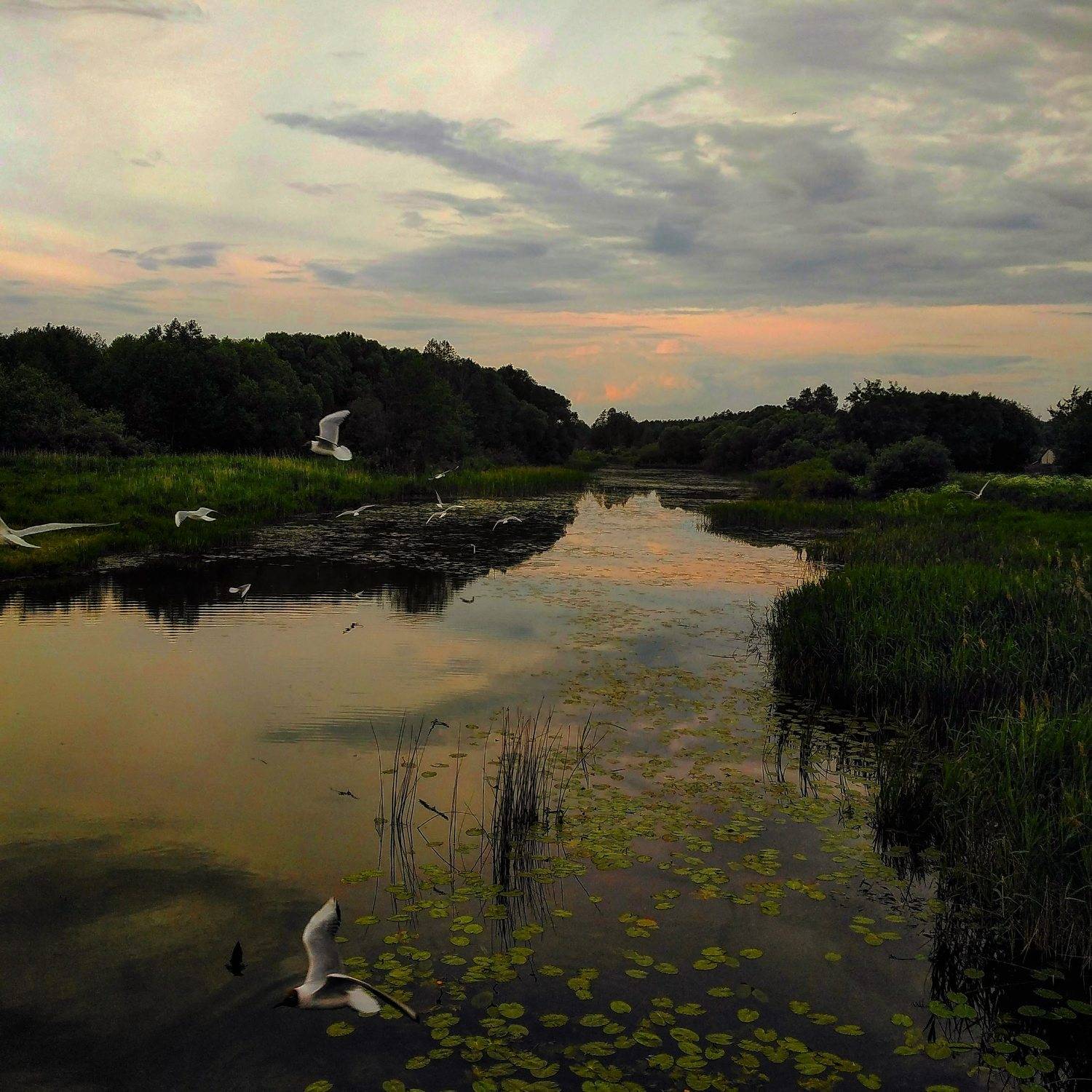 Photo #6962582