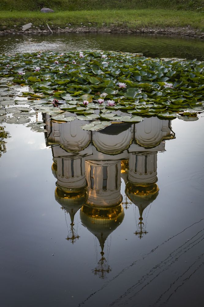 Фотография автора Светлана Котлярова