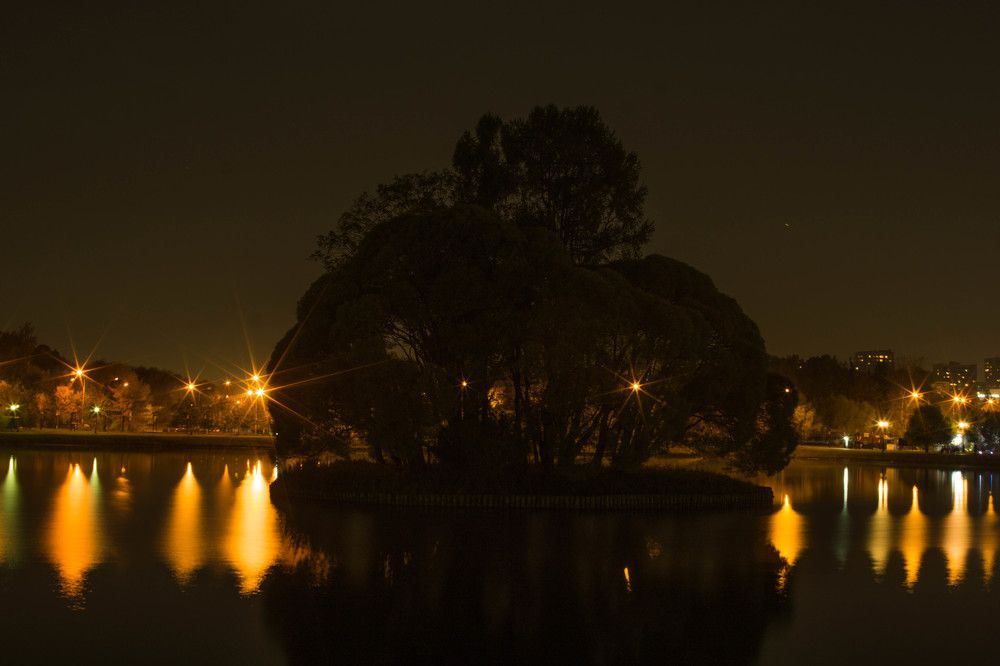 Photograph by Тимофей Белокопытов