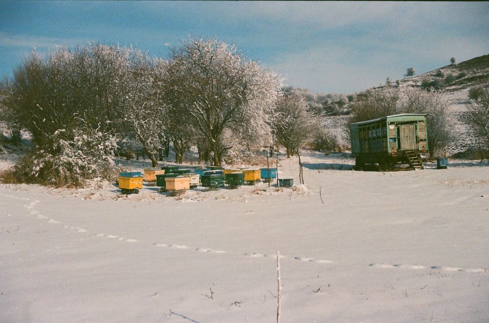 Photograph by Дмитрий Сосна