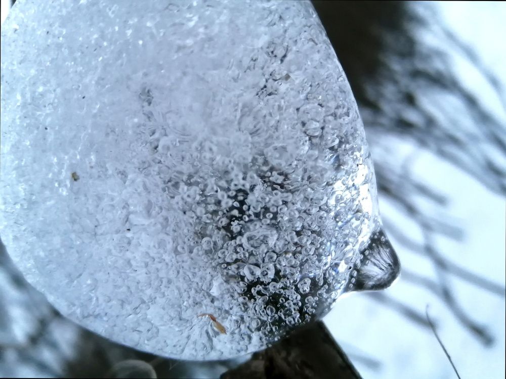 Photograph by Светлана Веселовская