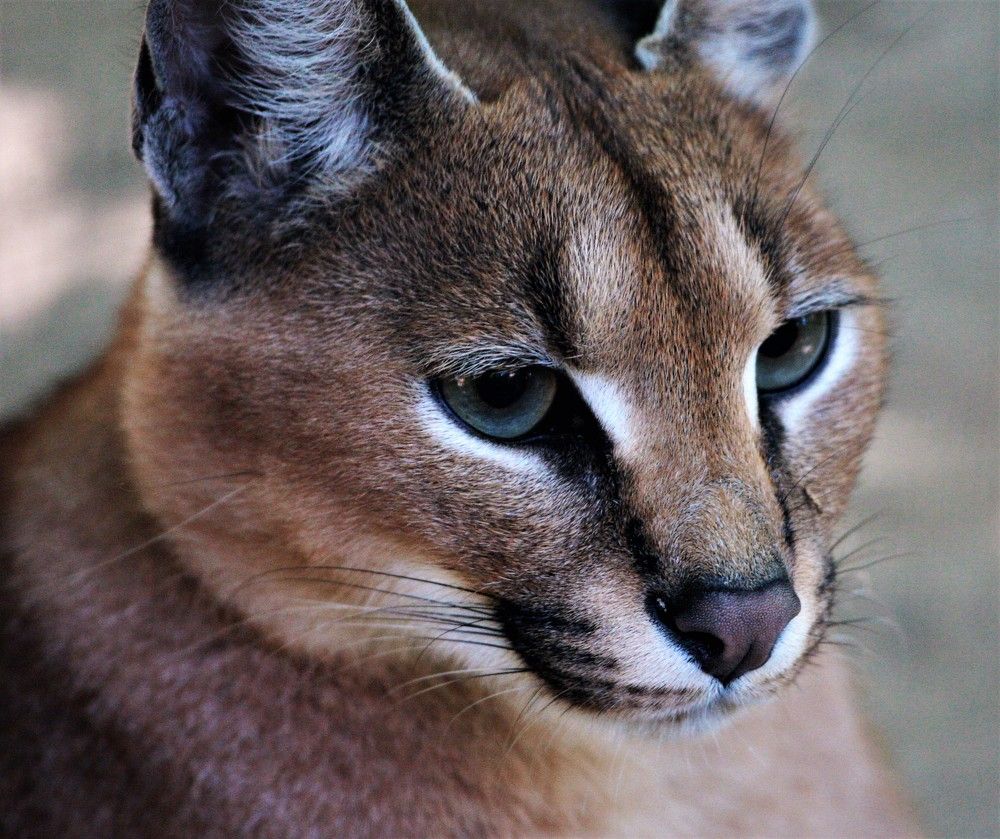 Photograph by Anja kroes