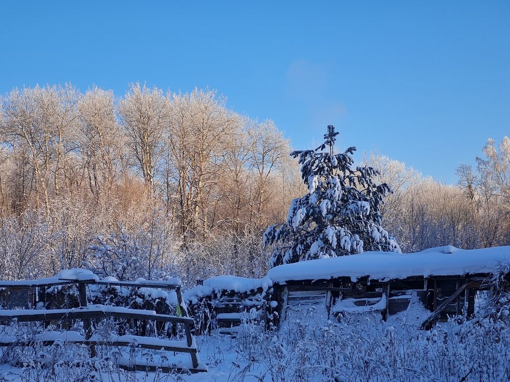 Photograph by Tatiana Denisova