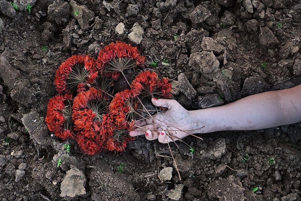 Photograph by Silvana Córdoba