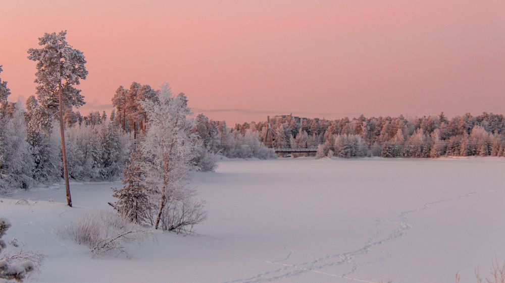 Розовый закат