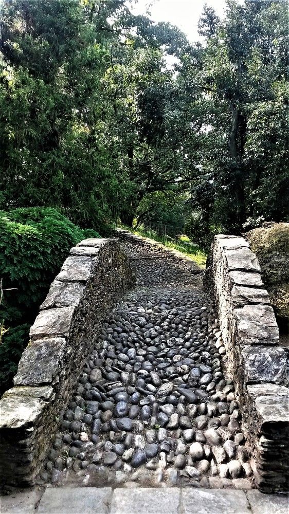 Photograph by Ева К.