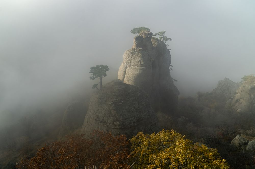 Photograph by Михаил Тильпунов