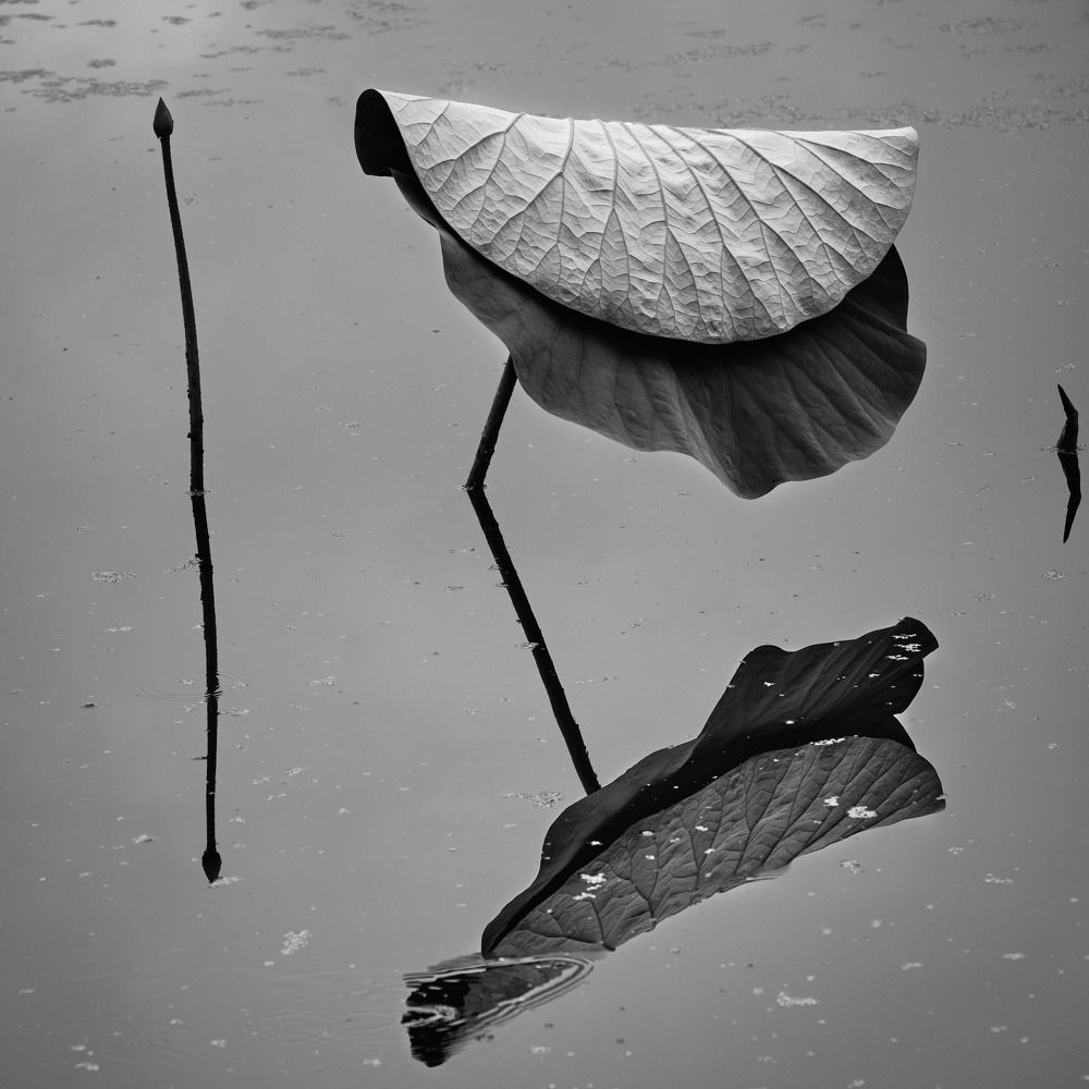 Photograph by Sunny Deshar