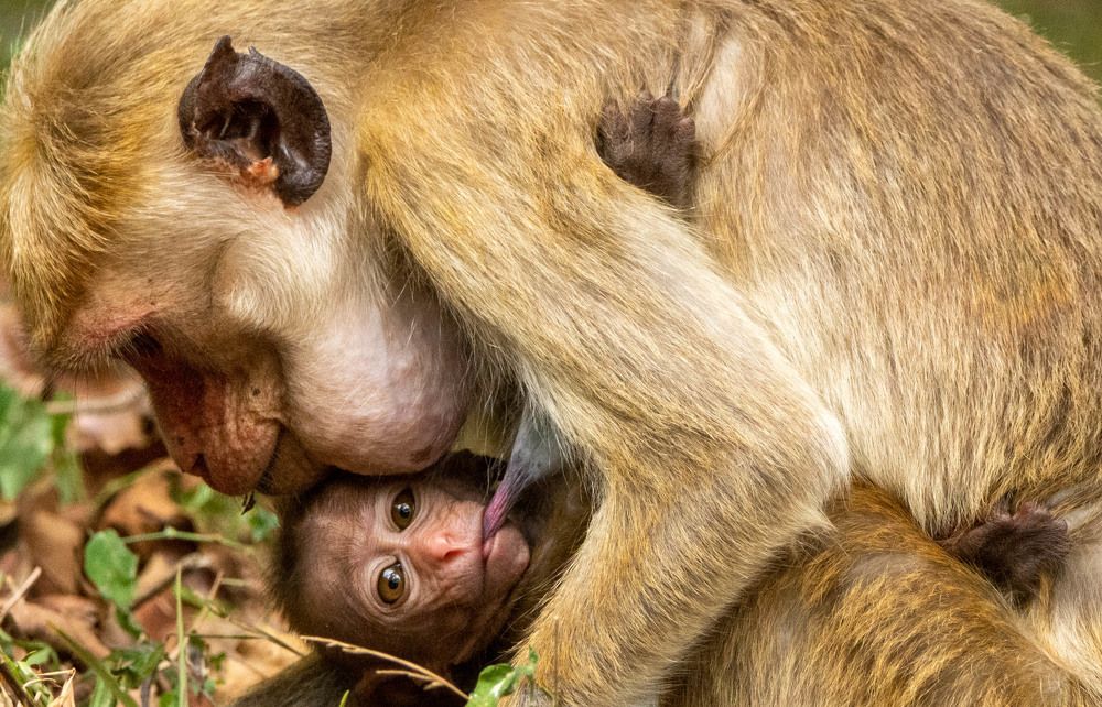 Photograph by Yuganthan Nallusamy