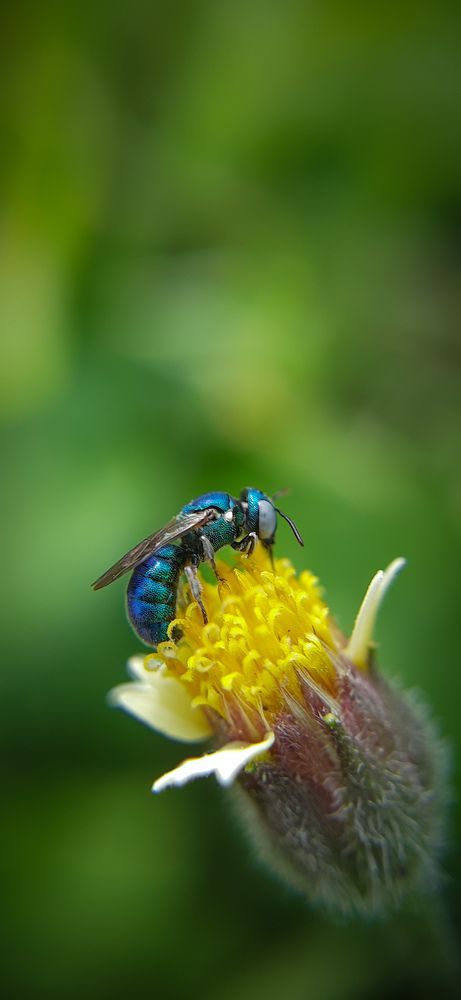 Photograph by Hemanth Reddy Devireddy