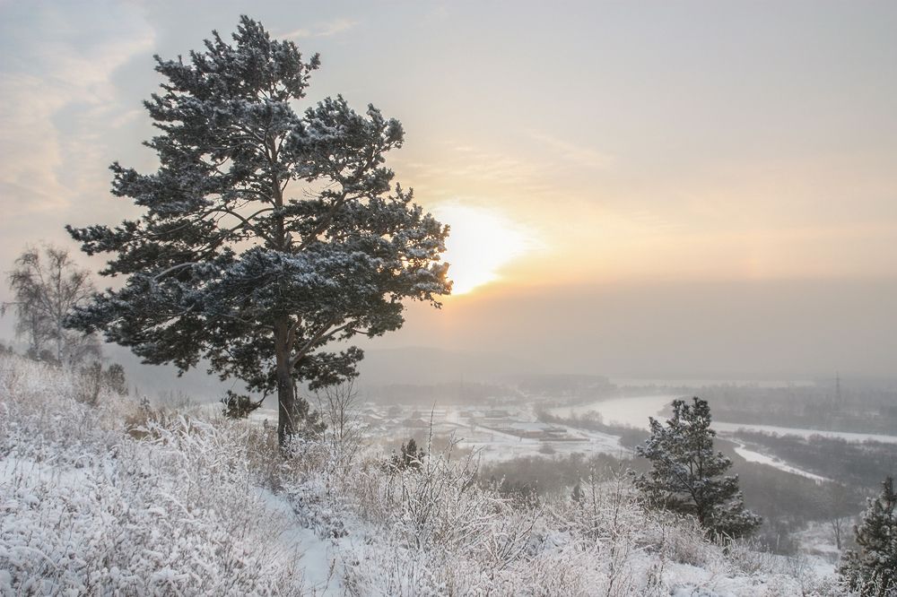 Photograph by Ольга Литвинцева