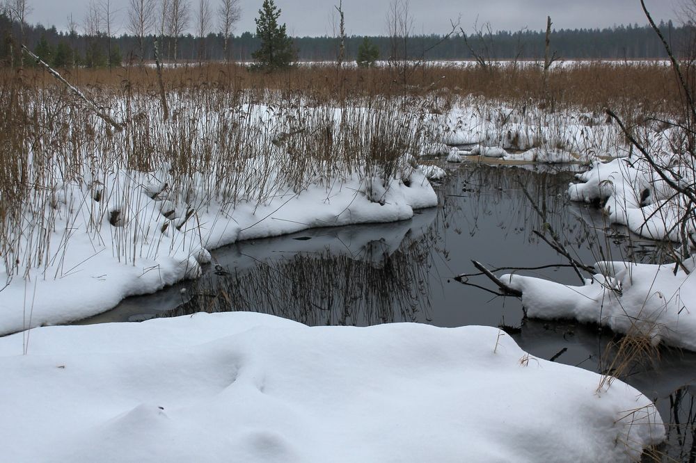 Photograph by Olga Bagaeva