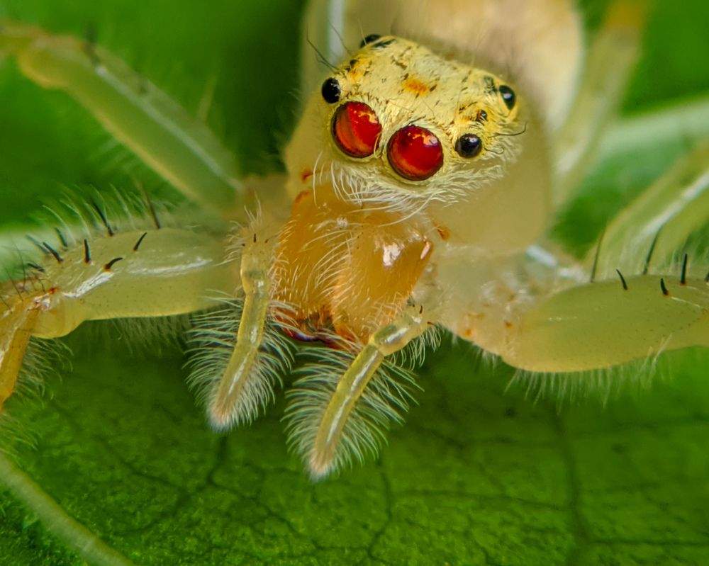 Photograph by Ajeesh A