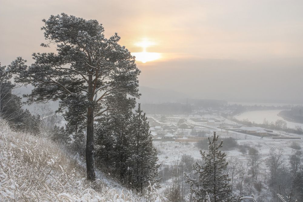 Photograph by Ольга Литвинцева