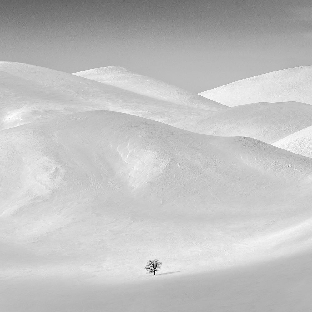 Фотография автора  Евгений