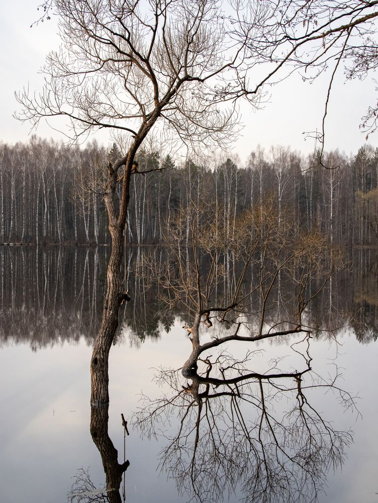 Photograph by Екатерина Лесная