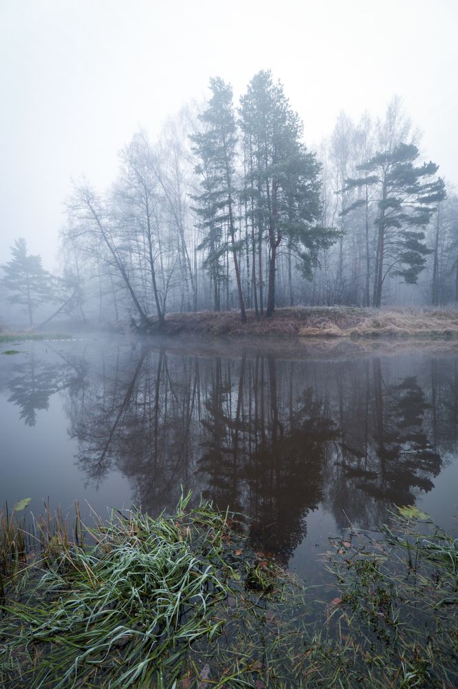 Photograph by Екатерина Лесная
