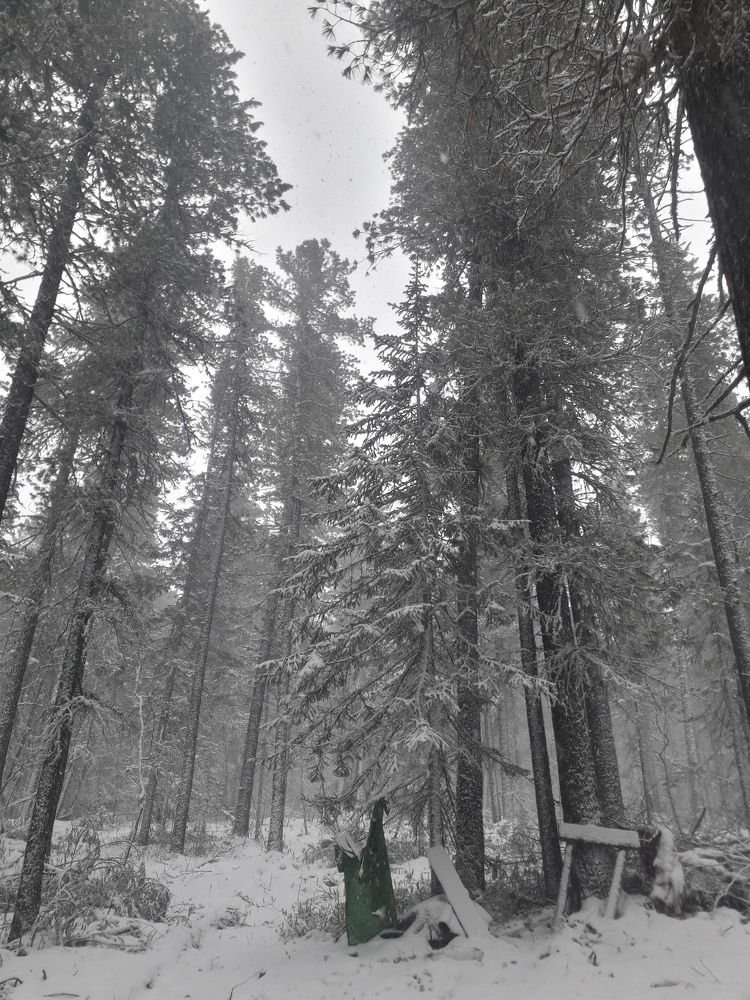 Photo #6963063