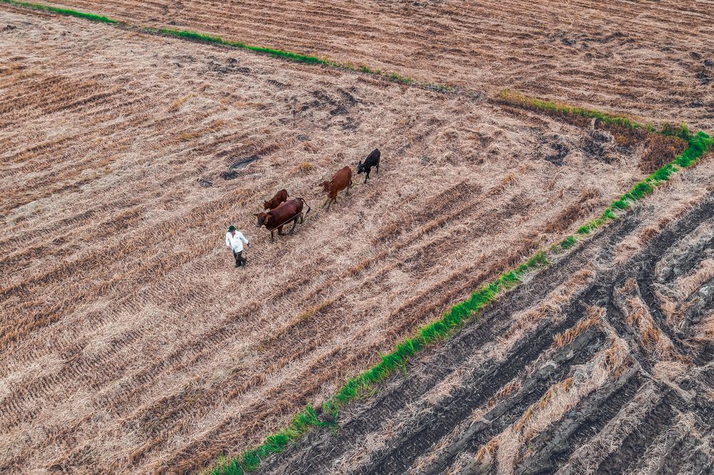 Photograph by Bui Trong Nghia