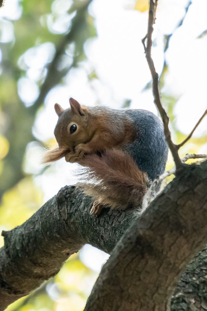 Photograph by Rasim Benzer