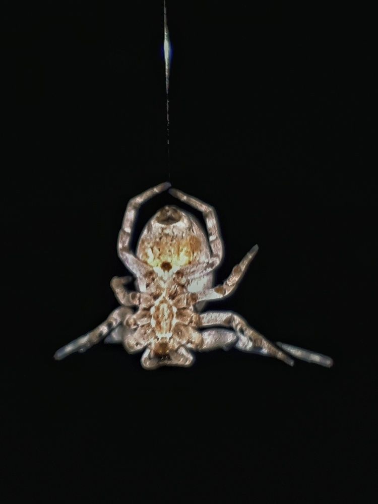 Photograph by Khosro Sayadi