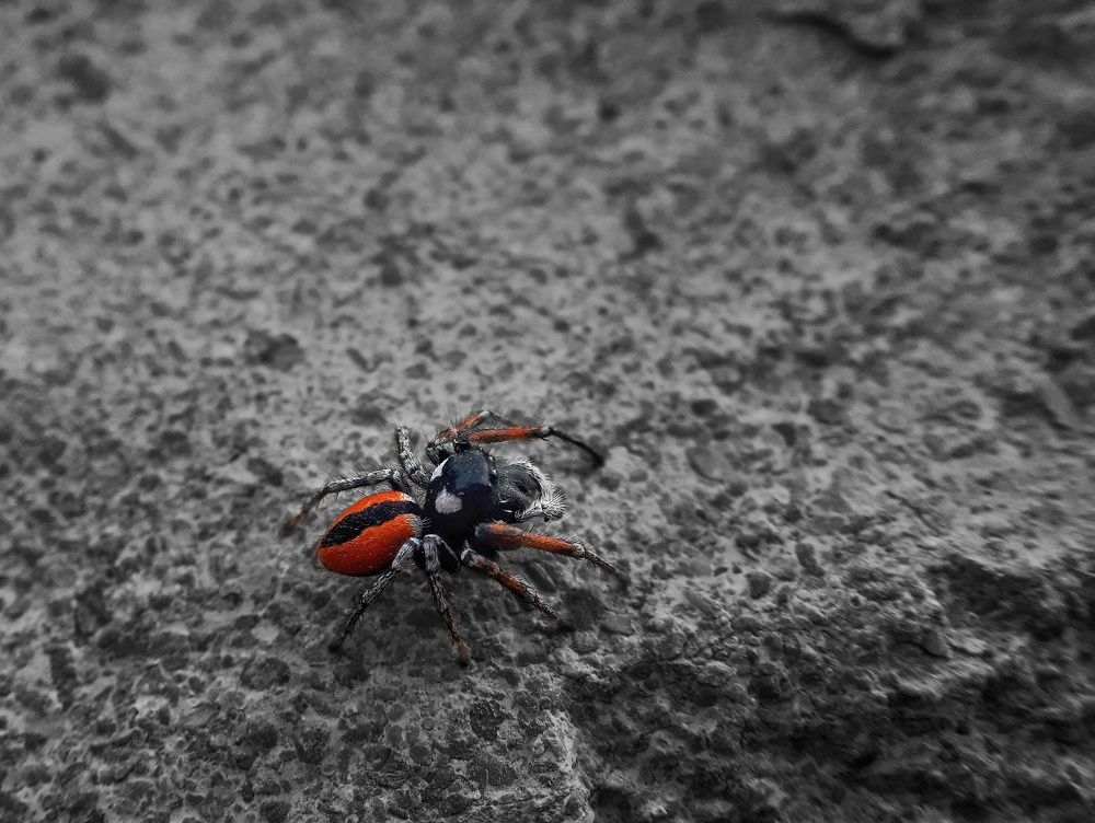 Photograph by Khosro Sayadi