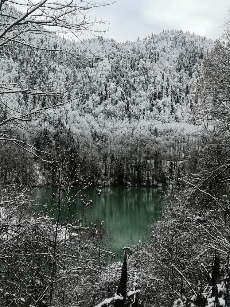 Photo #6963232