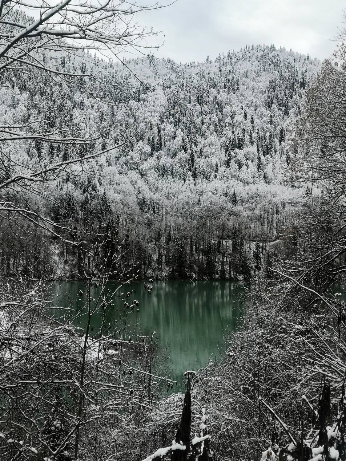 Photo #6963232