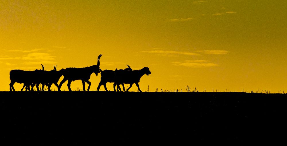 Photograph by Alex Kalpus