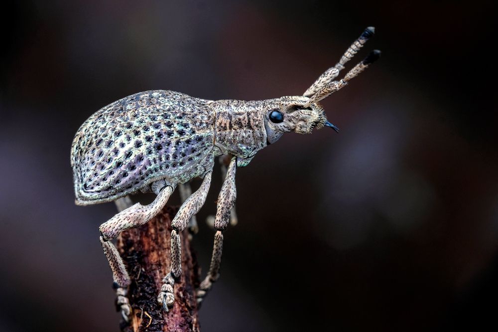 Photograph by KAIYEN LEE