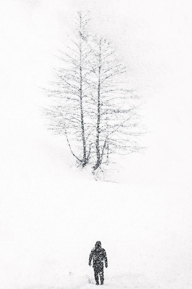 Photograph by Zakaria chelidze