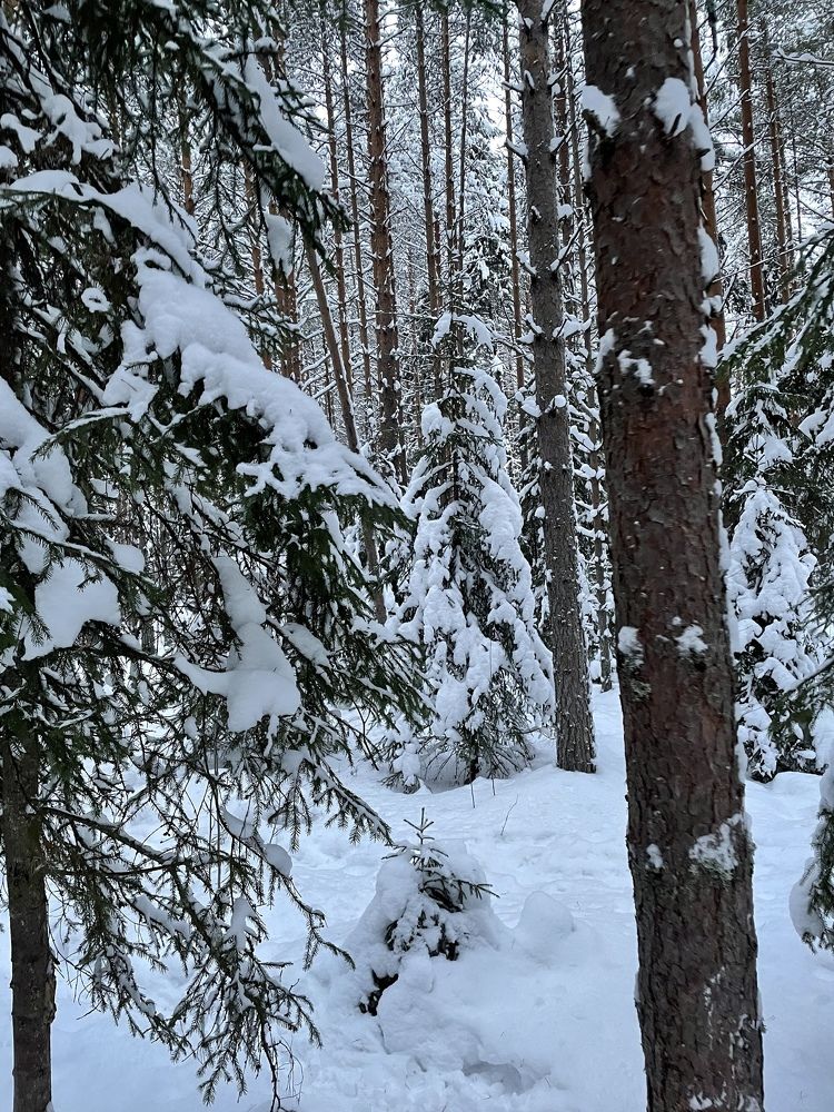 Фотография автора Светлана