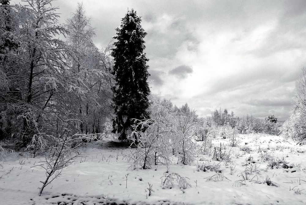 Photograph by Іван Березовський