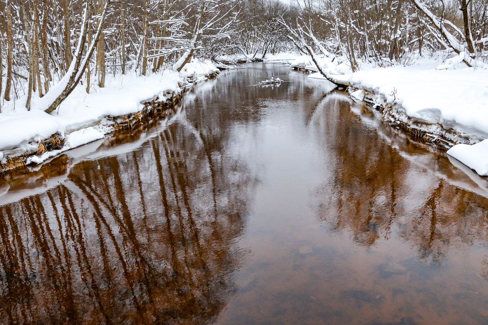 Photograph by Irina Rudneva