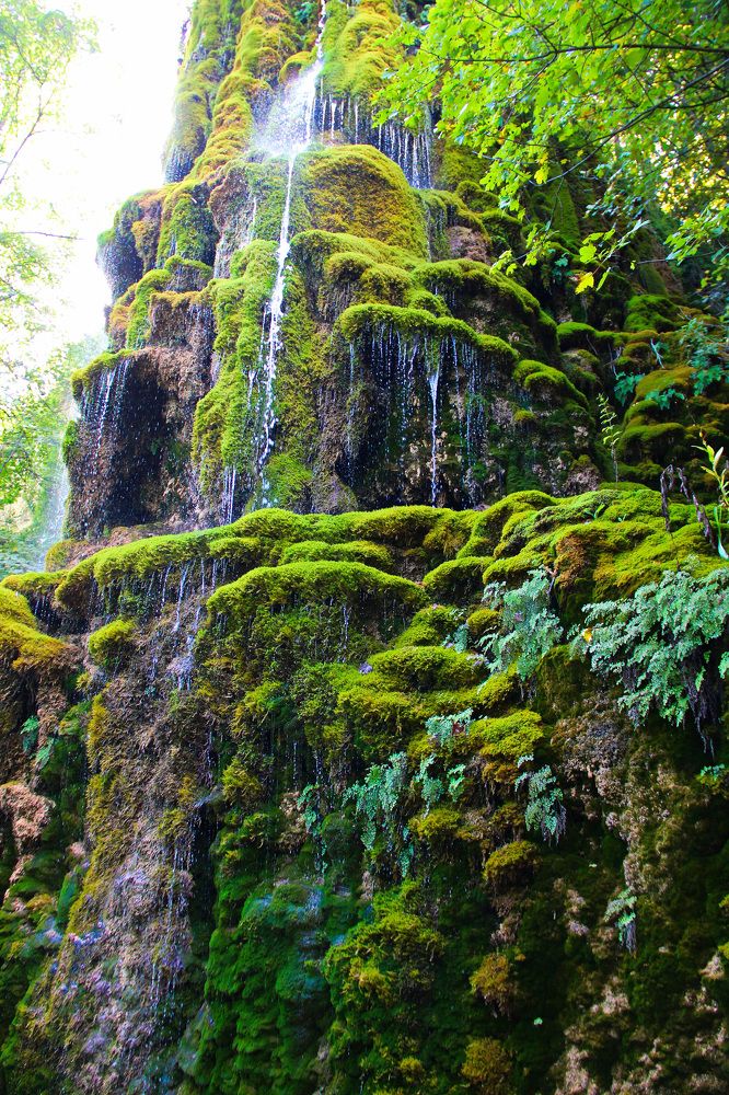 Photograph by michel olive