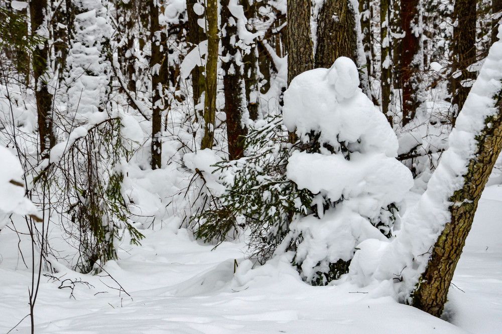 Photograph by Irina Rudneva