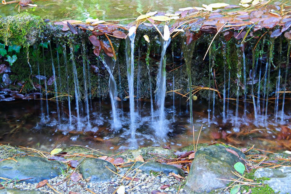 Photograph by michel olive