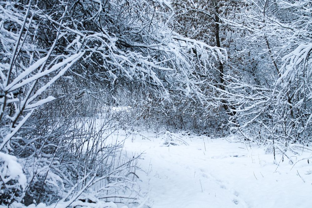 Photograph by Оксана Хабарова