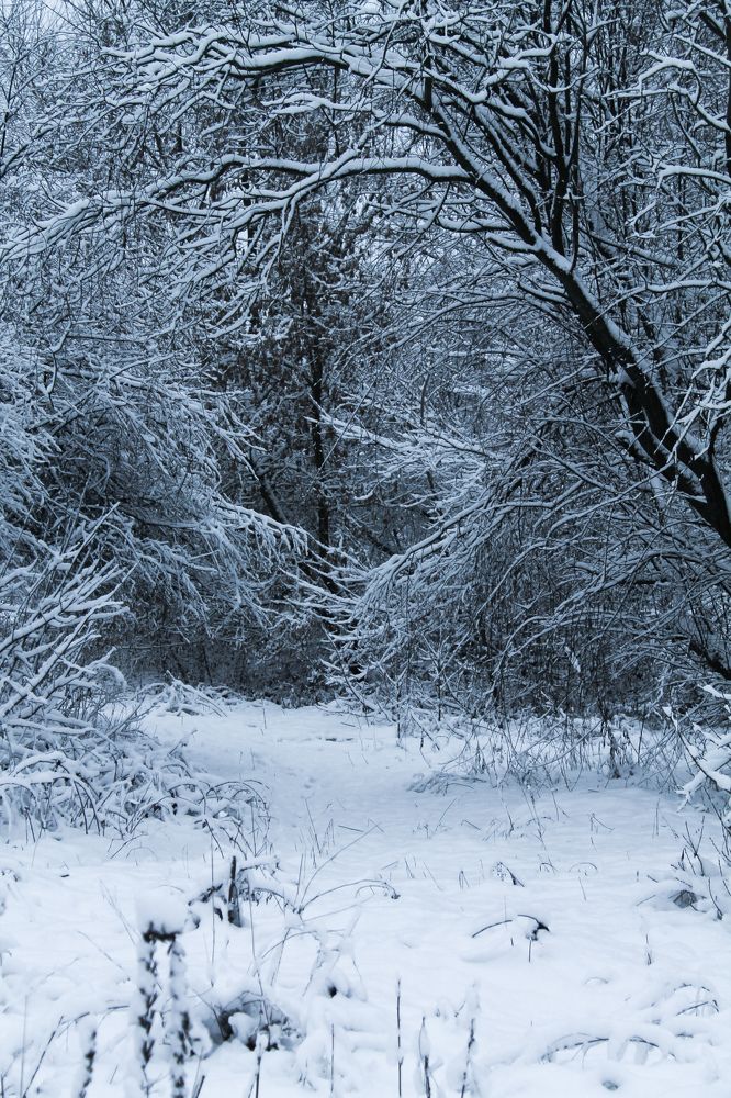 Photograph by Оксана Хабарова