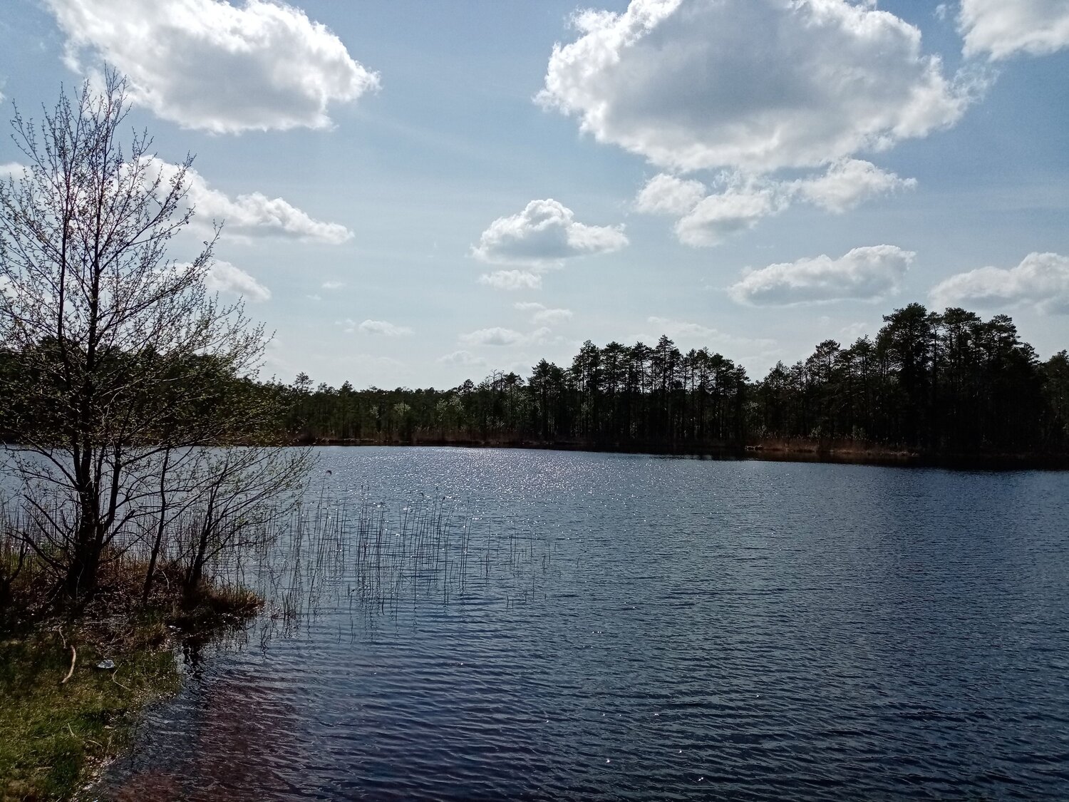 Photo #6963419