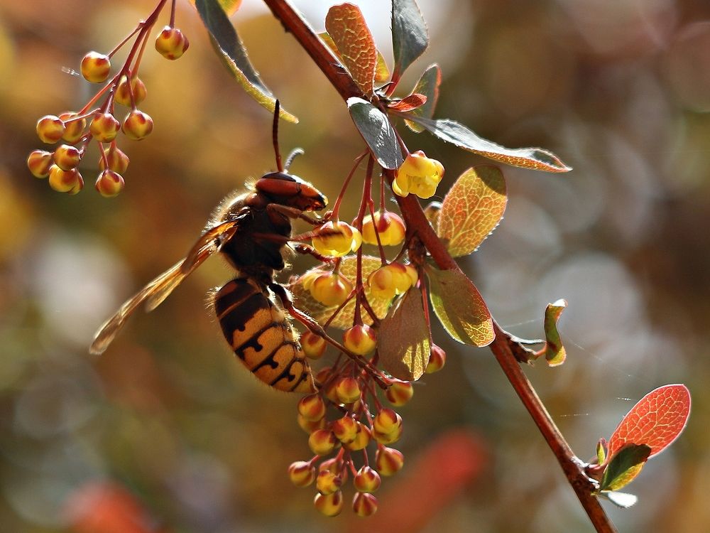 Photograph by Екатерина Мстиславская